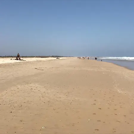 Alamar Bonito A 70 Metros De La Playa Wifi Gratis * Conil De La Frontera